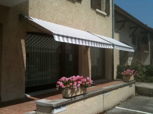 GENAS – CENTRE VILLE – PROFESSIONNEL 